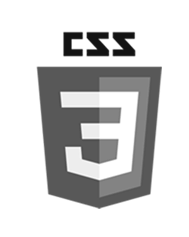 CSS